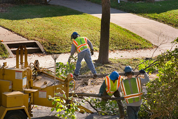 Lawn Grading and Leveling in Manvel, TX